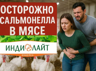 Диетический обман от Тахира Хамитова: сальмонелла в мясе индейки ИНДИЛАЙТ — массовые отравления, скрытые проверки, фальсификация отчётов